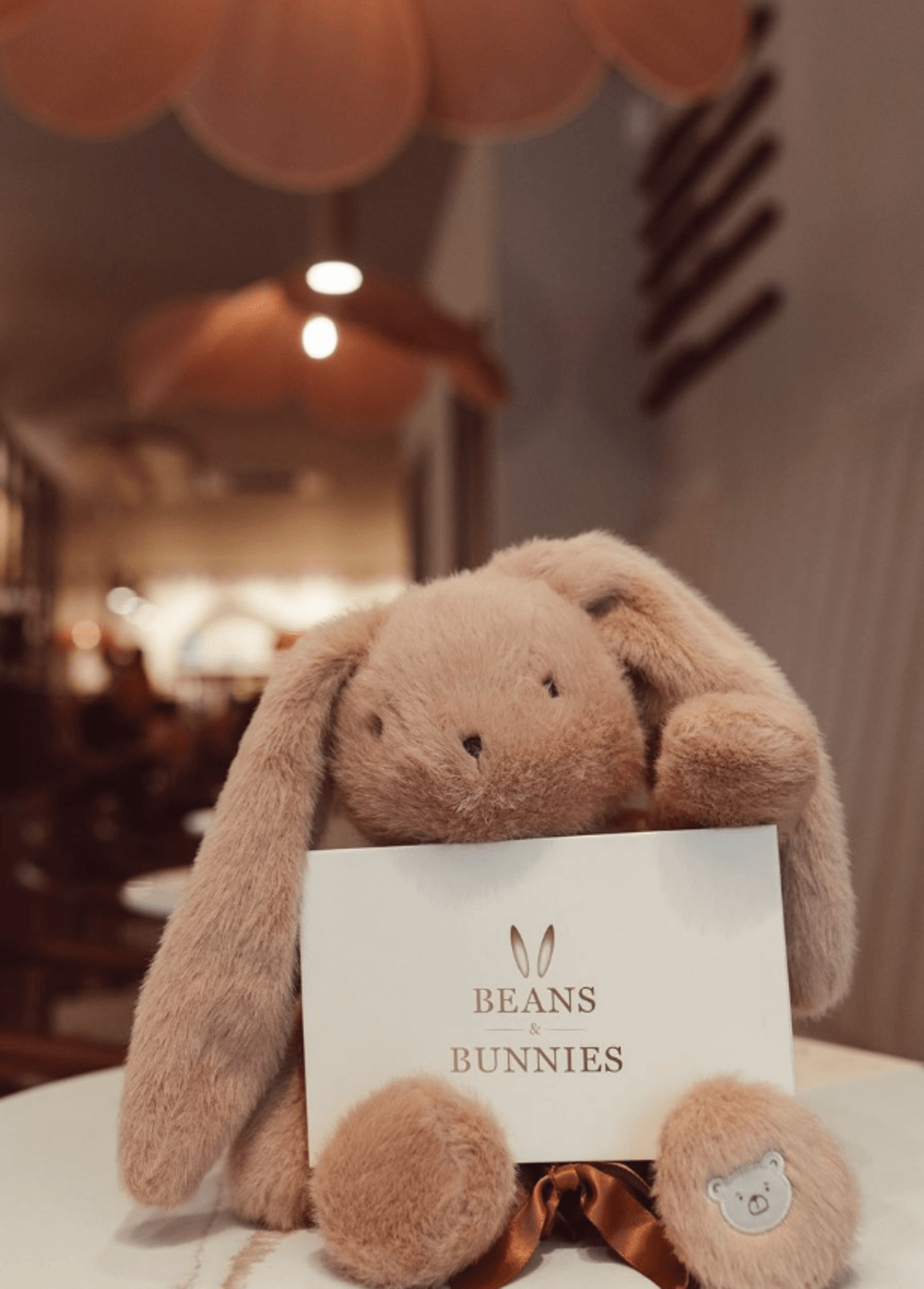 Conceptstore Beans & Bunnies